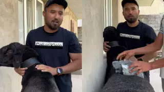 Танымал қазақстандық журналист асыл тұқымды қошқарын 15 миллион теңгеге сатқан