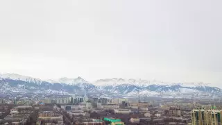 В Антикоре рассказали об уголовных делах в сфере земельных отношений в Алматы