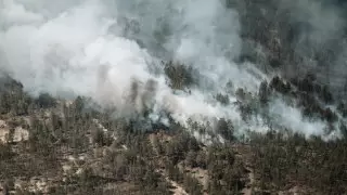 Сухостой загорелся на склоне горы в Алматинской области