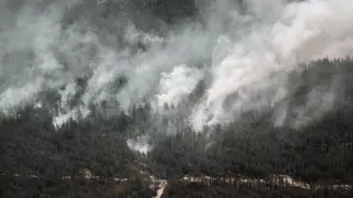 Пожар в области Абай: названы подозреваемые