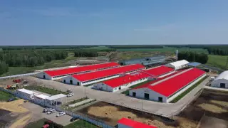 Более 600 делегатов из Казахстана и зарубежья приняли участие в агрофоруме в СКО