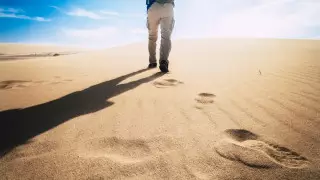 30 процентов людей на Земле могуть стать климатическими мигрантами к концу века