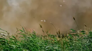200 гектаров камыша горит в области Абай