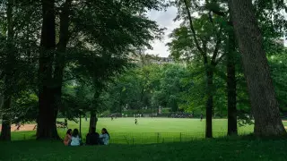 Жизнь в зеленых районах уменьшает биологический возраст - ученые