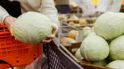 Дефляция: Цены на продукты начали снижаться впервые за полтора года