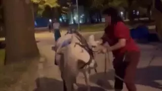 Женщина ударила пони в Алматы: полиция проверит видео