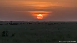 Штормовое предупреждение объявлено во всех регионах Казахстана