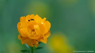 Какой будет погода 8 июля в Казахстане