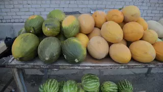 Как проверить арбуз на нитраты, рассказала казахстанцам санврач