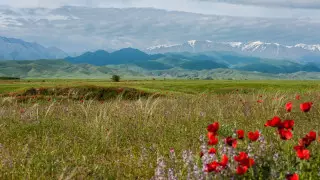 Миллиарды и рейтинг регионов. В Казахстане решили "сделать ставку" на туризм