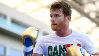 Чемпион мира оценил шансы Канело в поединке с Чарло