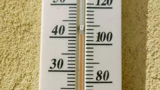 Сколько людей стали жертвами рекордной жары в Европе