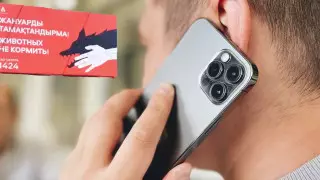 Звонок в Антикор из-за плаката "завирусился" в сети