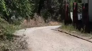 Пенсионерку оштрафовали за самостоятельный ремонт дороги в Алматинской области