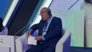 Китайский ученый сравнил Казахстан и его соседей с симпатичной девушкой