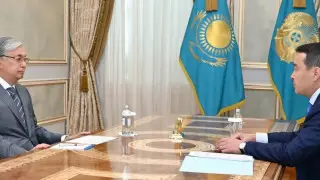 Вода, тарифы, сайгаки. Смаилов отчитался перед Токаевым