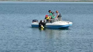 Министерство экологии начало чистить Астанинское водохранилище после критики от Токаева