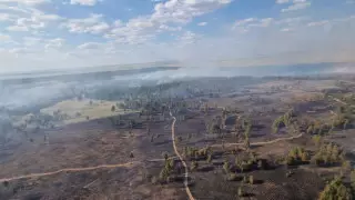 Крупный пожар на территории "Семей орманы" удалось локализовать