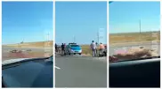 Infiniti совершил смертельный наезд на верблюда по дороге в аэропорт Актау