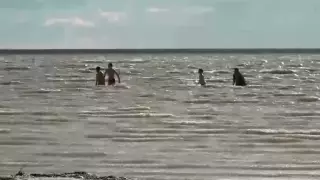 Вода вернулась в пересохшее лечебное озеро на западе Казахстана