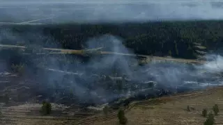 Пожар в резервате "Ертiс орманы" локализован