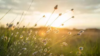 Сильные дожди и 42-градусная жара: погода в Казахстане на 3 дня