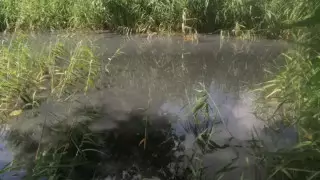 "Ушла раньше акима": сельчане жалуются на отсутствие воды в Мангистау