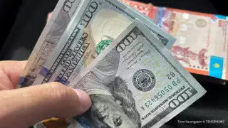 Супругов осудили за сбыт фальшивых долларов в Астане