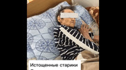 На вирусное видео из дома престарелых в Семее отреагировали в акимате