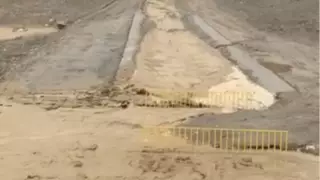 Сильный дождь спровоцировал селевой поток в горах близ Алматы