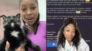 На авиакомпанию обрушилась критика из-за инцидента с кошкой пассажирки