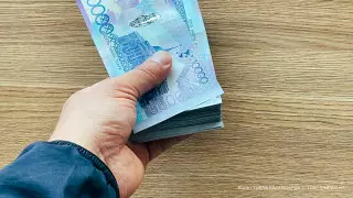 О крупных хищениях в образовании доложили Токаеву