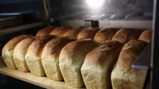 Химик объяснил, где хранить хлеб, чтобы он не плесневел