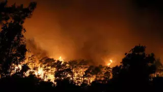 "Паники нет": сколько казахстанских туристов находится в охваченной пожарами Турции