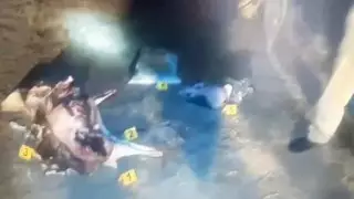 Три туши сайги изъяли у охотника в Актюбинской области