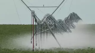 Хозяйства СКО внедряют передовые методы орошения