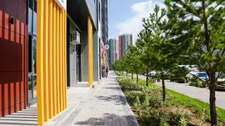 Застройщиков обязали озеленить более 100 ЖК в Астане