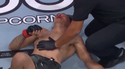 Ветеран UFC Тони Фергюсон потерпел шестое поражение подряд