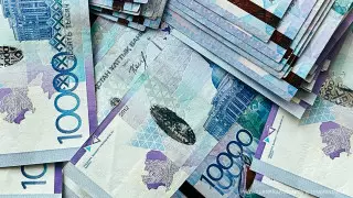 ТОО по управлению возвращенными активами хотят создать в Казахстане