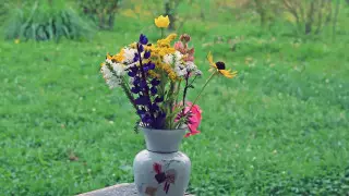 Август на большей территории Казахстана начнется с дождей