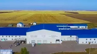 Четыре человека погибли на свинокомплексе в СКО