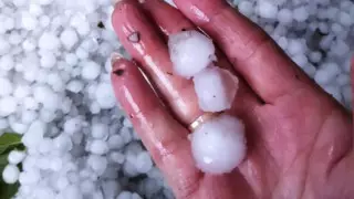 Град размером с мячик для пинг-понга уничтожил урожай в Костанайской области