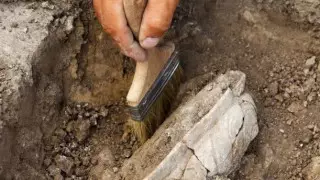 В Китае нашли останки ранее неизвестной эволюционной линии людей