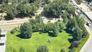 Парк может исчезнуть из-за ремонта моста на Аль-Фараби в Алматы