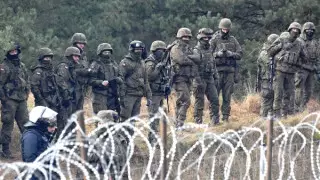 Польша и Литва объявили о переброске дополнительных сил на границу с Беларусью