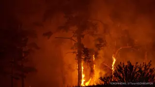 Правительство планирует отдать 1,2 миллиарда тенге на борьбу с лесными пожарами