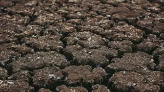 Вода из Кыргызстана не подается. Ситуацию в Жамбылской области назвали критической