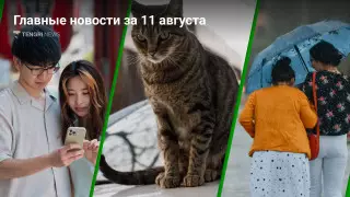 Идеальный интернет, сравнение кошек и авто, резкое похолодание. Главные новости за 11 августа