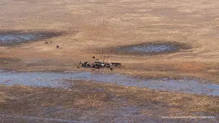 Засуха в Жамбылской области. Смаилов пообещал аграриям возместить убытки