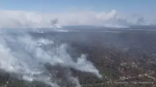 Пожары в Казахстане: определен размер выплат семьям погибших лесников